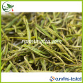 Té verde chino famoso de An Ji Bai Cha (té blanco de Anji)